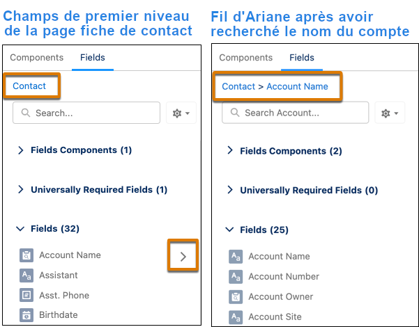 Formulaires Dynamiques : Champs de premier niveau de la page fiche de contact / Fil d'ariane après avoir recherché le nom du compte