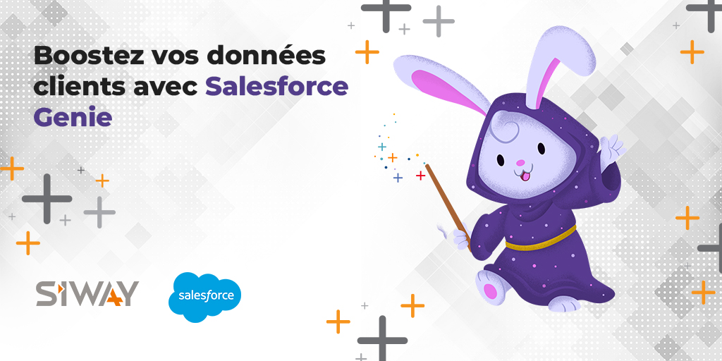 Boostez vos données avec Salesforce Genie