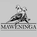 Lodge Maweninga Camp Tanzanie