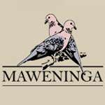 Lodge Maweninga Camp Tanzanie