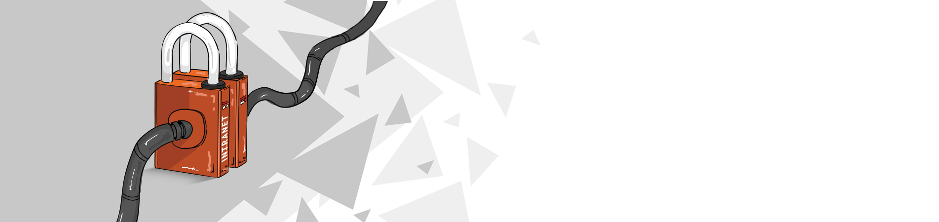 Intranet & Extranet
