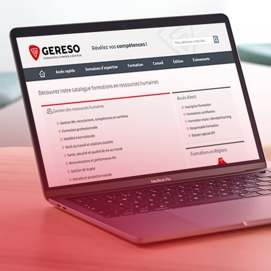 GERESO - Portail web / Consultant