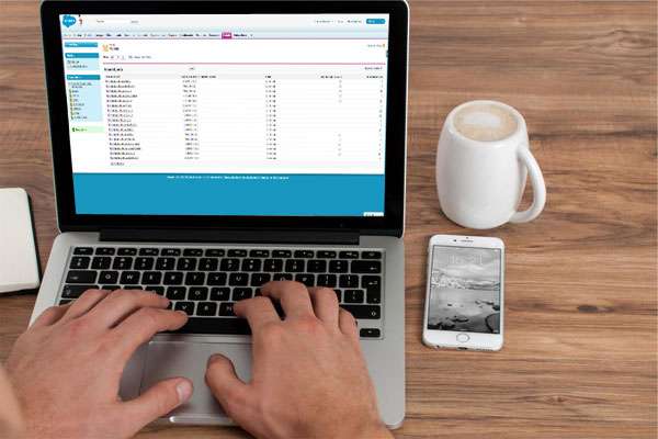 Connectique Wordpress / Salesforce