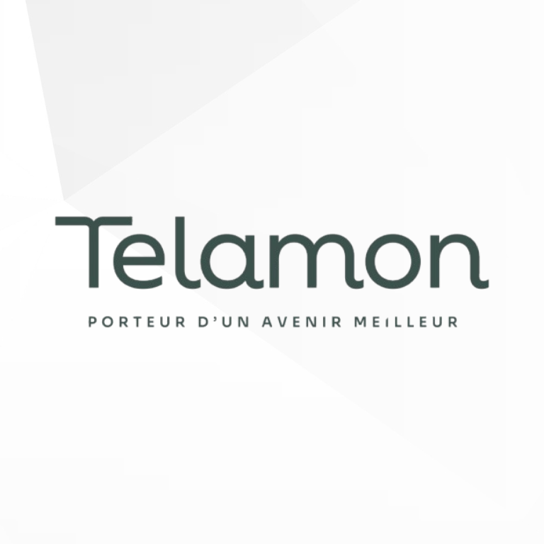 Intégration de l’API LSEG World-Check dans Salesforce pour Telamon